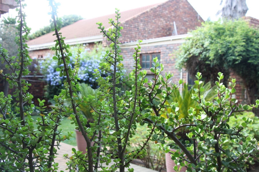 3 Bedroom Property for Sale in Universitas Ridge Free State